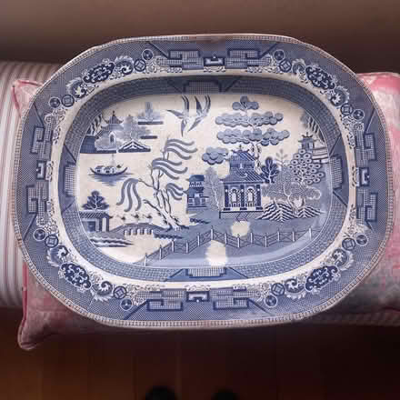 Photo of free Blue pattern willow (D09K7Y4) #1