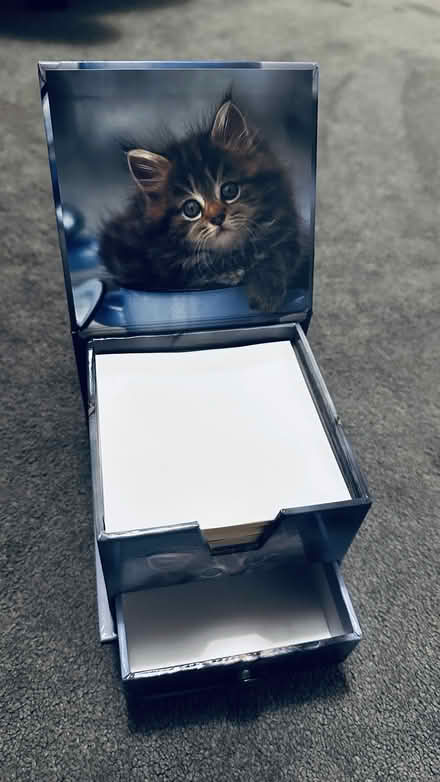 Photo of free Cat Notepad & Holder (Wickford/Runwell SS11) #1