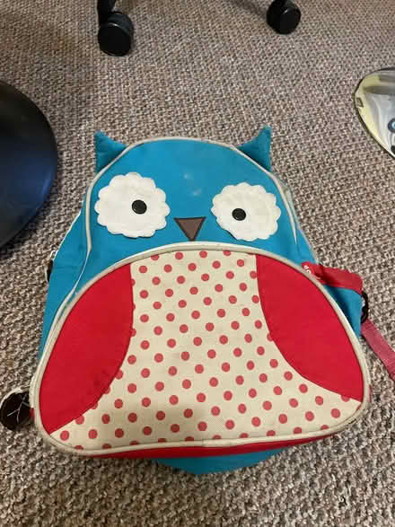 Photo of free Toddler rucksack and lunch bag (Chapeltown S35) #1