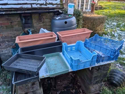 Photo of free Plant Trays (Whitemans Green RH17) #1