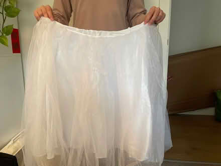 Photo of free 2 tulle skirts (Elephant and castle SE1) #1