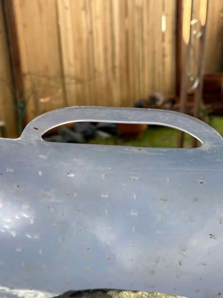 Photo of free Heavy duty plastic carpet cover (East Terra Linda) #3