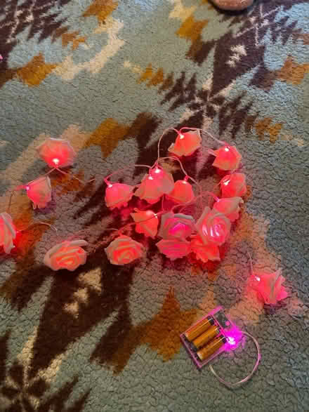 Photo of free String of rose lights (Montebello) #1