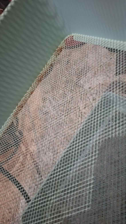 Photo of free Tolley thing (Sheffield hackenthorpe S12) #3