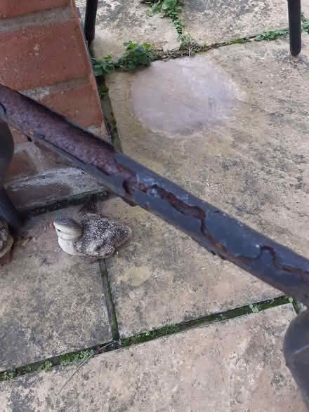 Photo of free Metal legs for a trestle table (Southport PR8) #2
