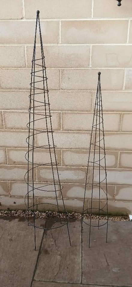 Photo of free 2 more conical plant supports (Odd Down) #1