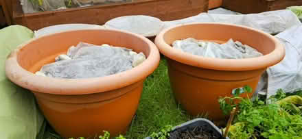 Photo of Super-large garden pots (Warwickshire CV34) #1