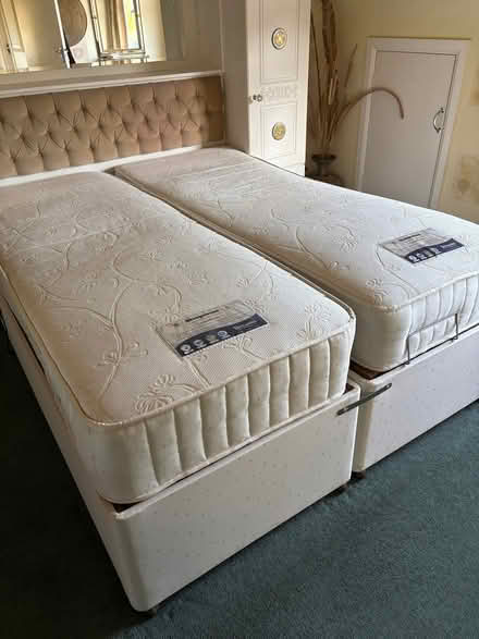 Photo of free Electric double bed (Talbot Woods BH4) #2