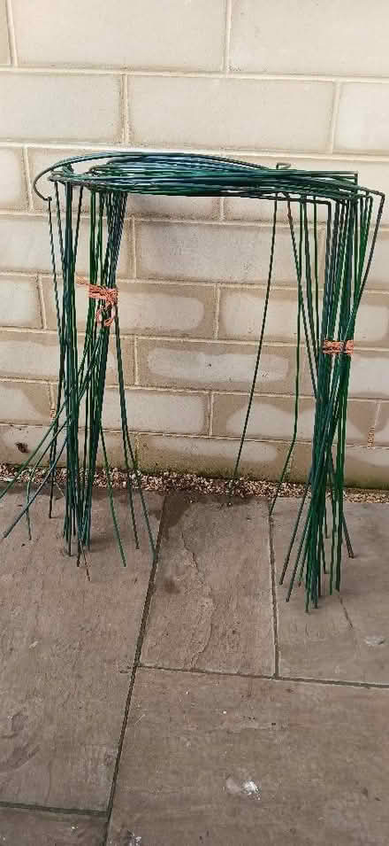 Photo of free Plant supports (Odd Down) #1
