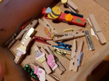 Photo of free Toy clothes pegs (Layerthorpe YO31) #1