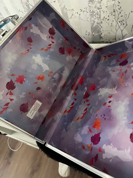 Photo of free Frozen glitter case (Southborough BR2) #3
