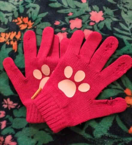 Photo of free Kids gloves paw patrol age 3-6 years (Kempston MK42) #1