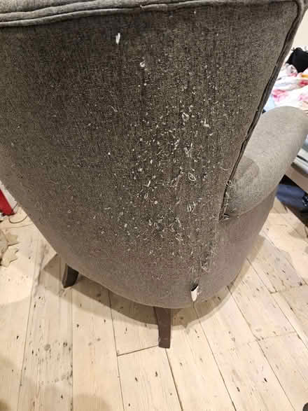 Photo of free Wing armchair (SW16 (streatham common)) #4