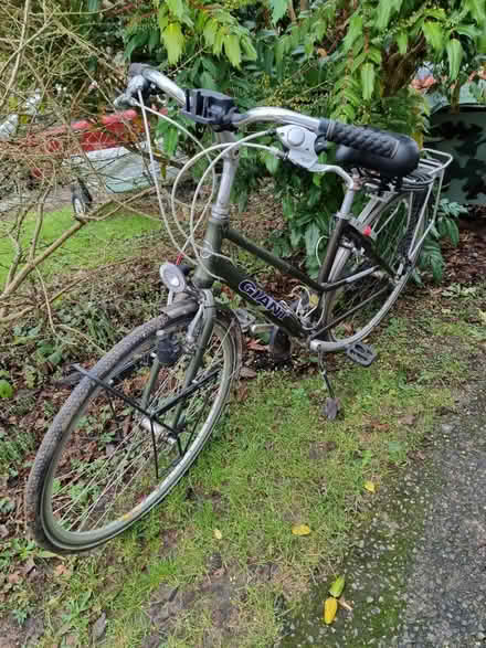 Photo of free Bicycle, Ladies (Bathford, BA1) #1