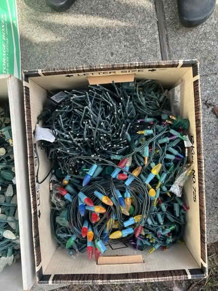 Photo of free 4 boxes Christmas Lights (Midtown Palo Alto) #2