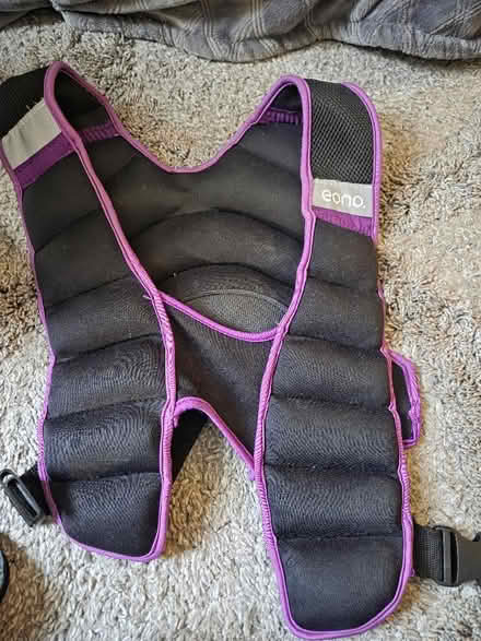 Photo of free Weight vest 50kg (Caterham CR3) #2