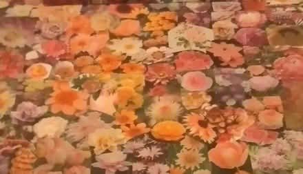 Photo of free Collage pictures (Fairview) #3