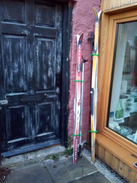 Photo of free cross country skis (Bishopthorpe YO23) #1