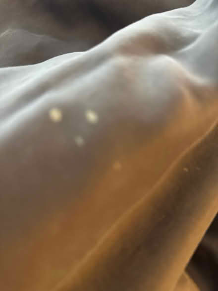 Photo of free West Elm Duvet Cover (Buttoned) (Murray Hill near the UN) #3