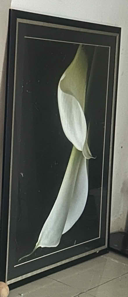 Photo of free Large frame photo (Lee) #1