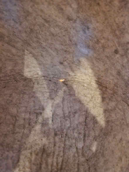 Photo of free Wooly cat cave (Welling DA16) #2