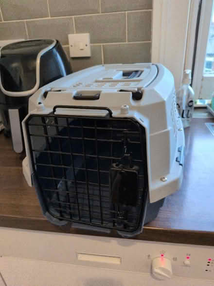 Photo of free Cat/small dog carrier (Crouch End N8) #1