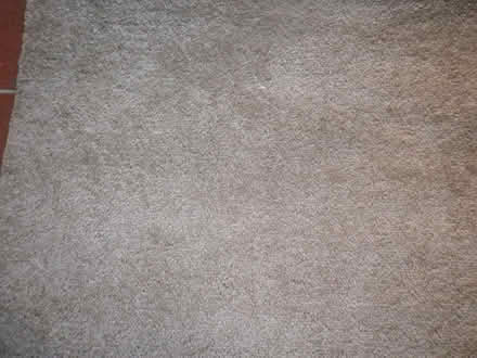 Photo of free Carpet (Widcombe) #2