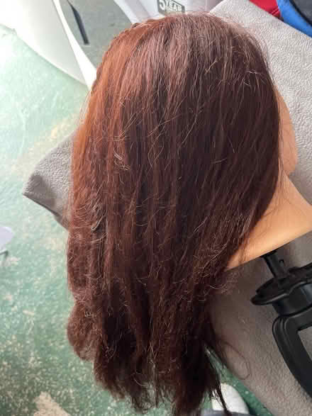 Photo of free Head of hair & clip (Hemel HP2) #2