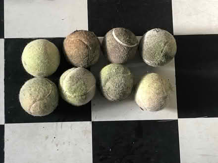 Photo of free Dog tennis balls (Alverstoke PO12) #1