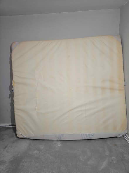 Photo of free from chester (Bolesworth upton chester) #1