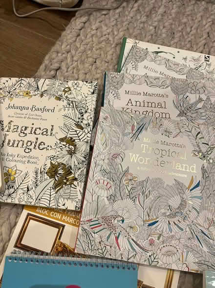 Photo of free Collection of colouring books and crayons (Shepherds Bush W14) #1
