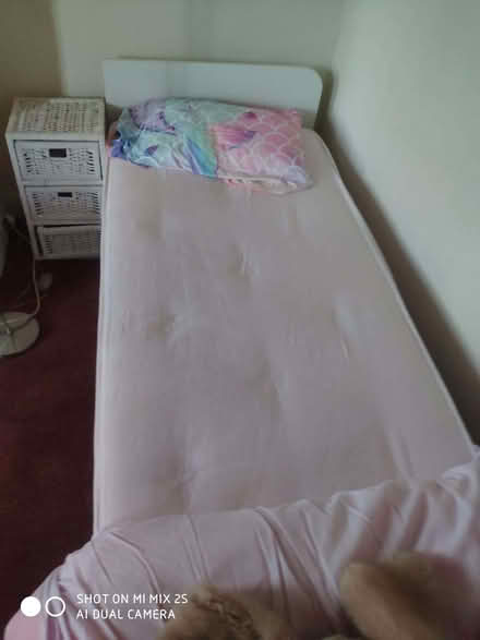 Photo of free Child's bed (Tynemouth NE30) #1