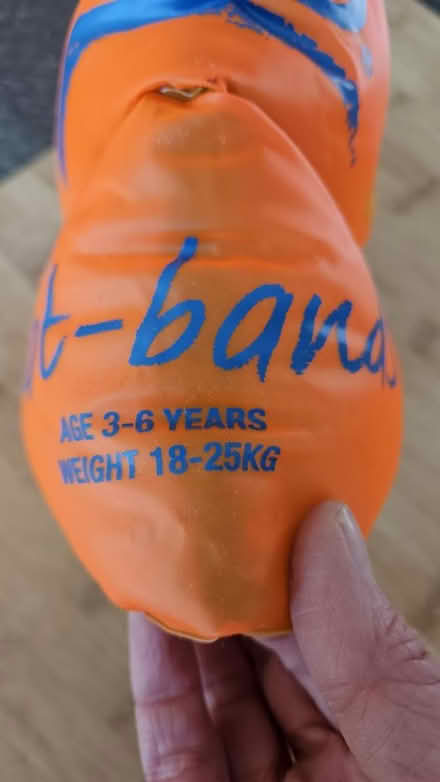 Photo of free Zoggs armbands 3-6 years (Lichfield WS14) #1