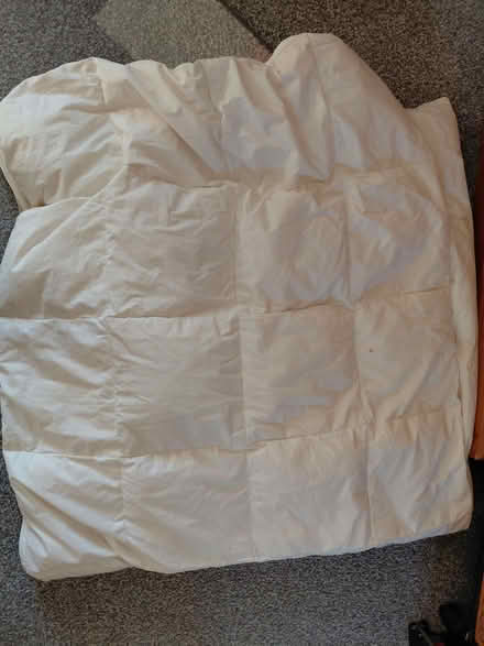 Photo of free Double feather duvet (Forest Hill OX33) #1