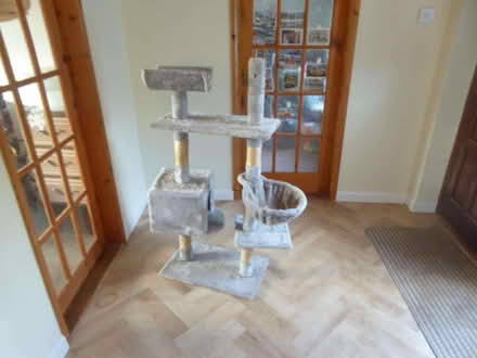 Photo of free Cat Tree (IP12) #1