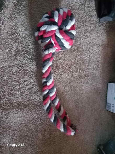 Photo of free Dog toy (IP1) #1
