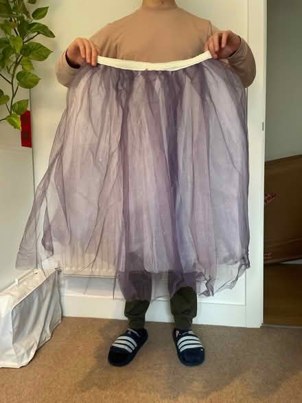 Photo of free 2 tulle skirts (Elephant and castle SE1) #3