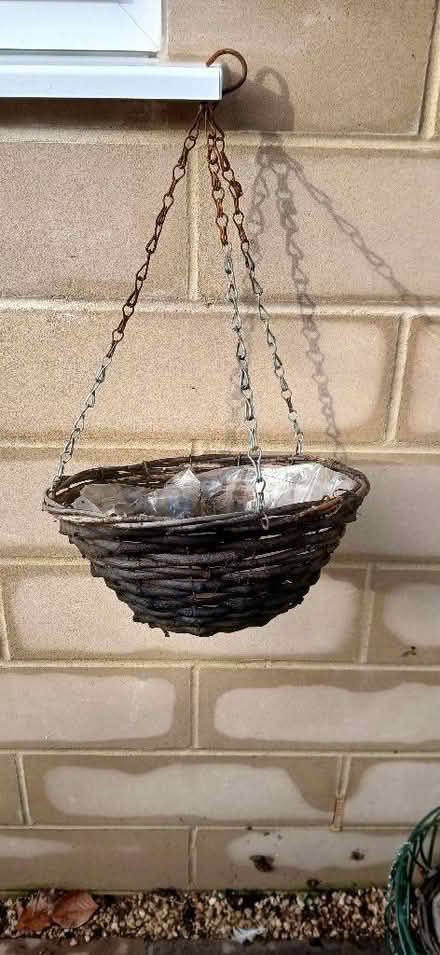 Photo of free Hanging baskets (Odd Down) #1