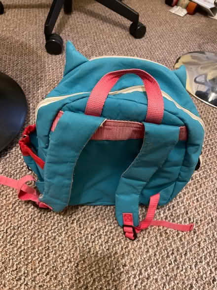 Photo of free Toddler rucksack and lunch bag (Chapeltown S35) #2