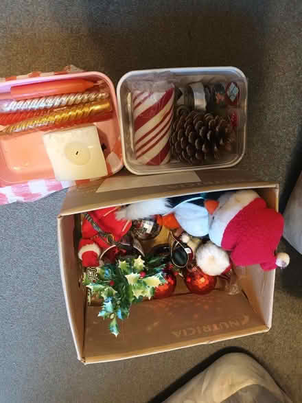 Photo of free Christmasy things (Stotfold) #2