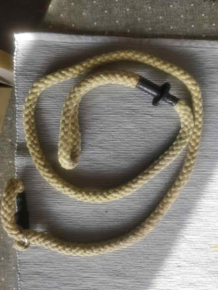 Photo of free Slip dog lead (Liphook GU30) #1