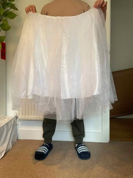 Photo of free 2 tulle skirts (Elephant and castle SE1) #2