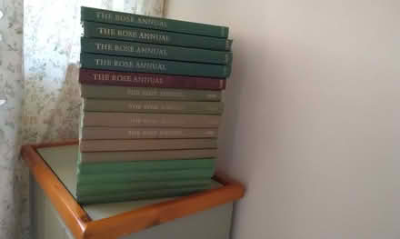 Photo of free Job Lot of Rose Annuals (Leiston IP16) #1