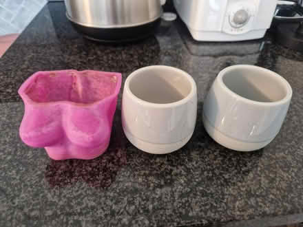 Photo of free 3 plant pots (SE10) #1