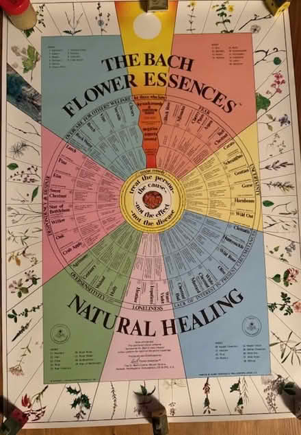 Photo of free Bach Flower Essences Poster (Cupertino - DeAnza and 280) #1