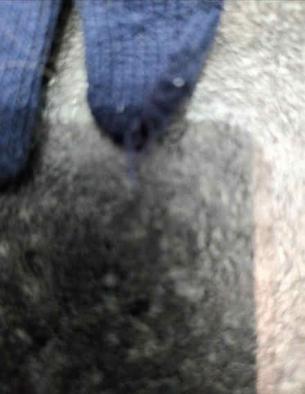 Photo of free Kids gloves (Kempston MK42) #2