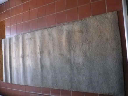Photo of free Carpet (Widcombe) #1