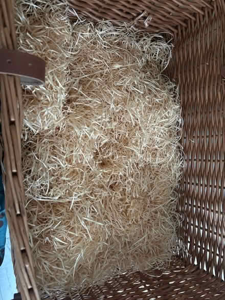 Photo of free Possible animal bedding (Troy Town ME1) #1