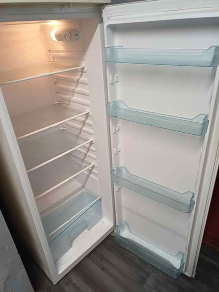 Photo of free Tall fridge (Trewoon) #2