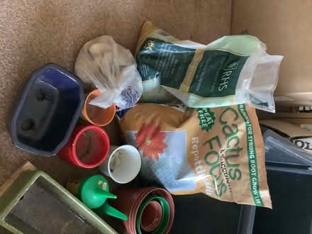 Photo of free Assortment of indoor plant accessories (Durrington BN13) #1
